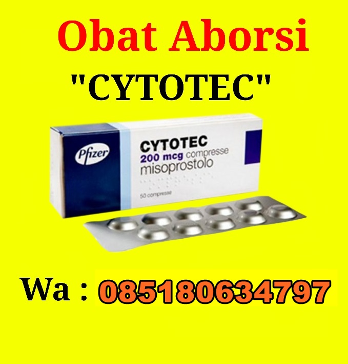 Attachment obat penggugur kandungan cytotec dan gastrul.jpg